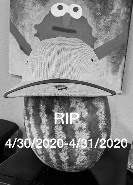 image-1650139097474.57.13 PM (1).jpeg